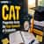 CAT 2026 Preparation for Final Year Students: 4-5 Month Study Plan, Timetable and Strategy to Crack CAT